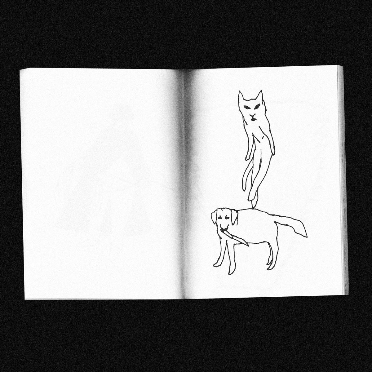 ILLITERATE DRAWINGS