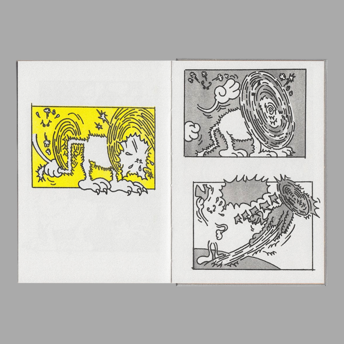 SPOLPARE JACOVITTI