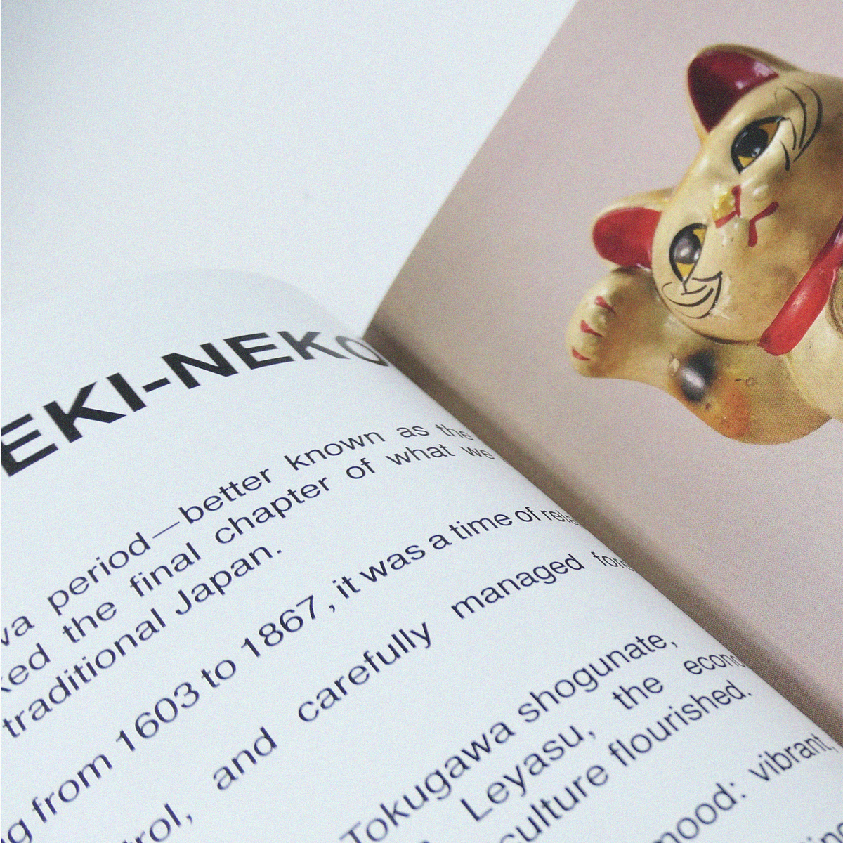 YURU-CHARA: THE HISTORY OF JAPANESE MASCOTS BOOK